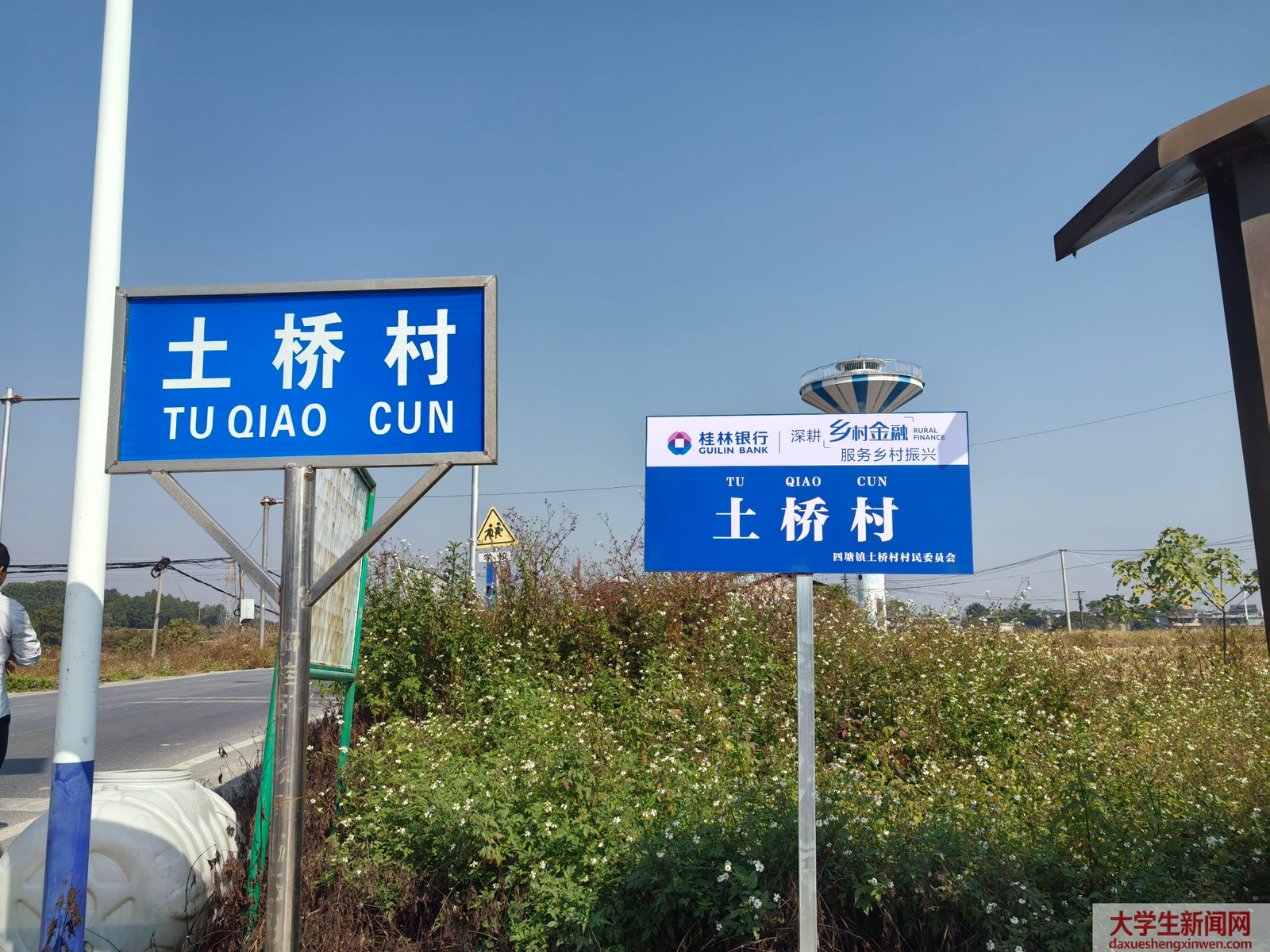 桂韵马蹄兴乡野 青春赋能助振兴——广西师范大学“桂蹄兴农队”赴桂林开展马蹄产业调研实践