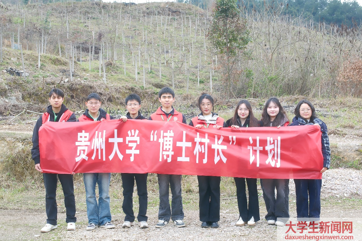 解秘仙果探“虎”径，筑梦乡村助振兴 ——贵州大学林学院“博士村长”实践团队助力凯里黑老虎产业纪实