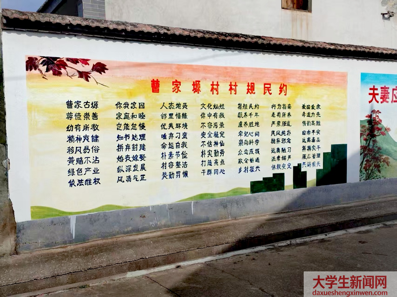 良约定根基 法治促振兴 —— 曹家塬村调研纪实